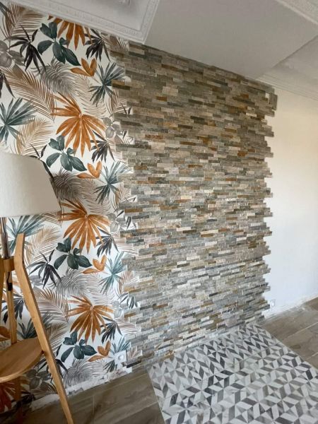 Pierre de parement - Salon - MDMS